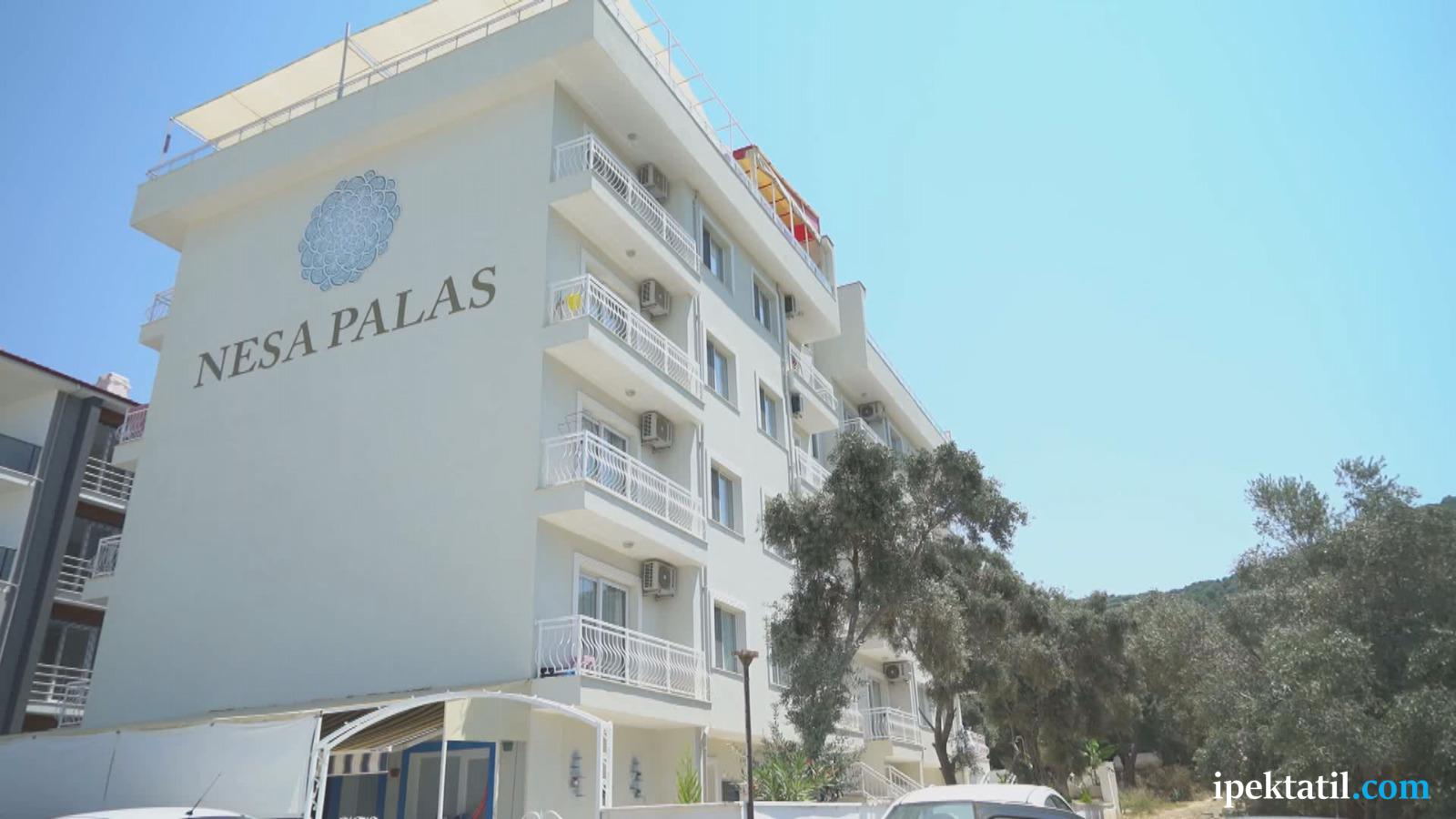 NESA-PALAS-22
