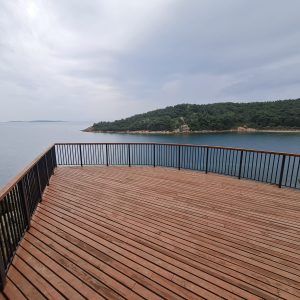 ortunç koyu