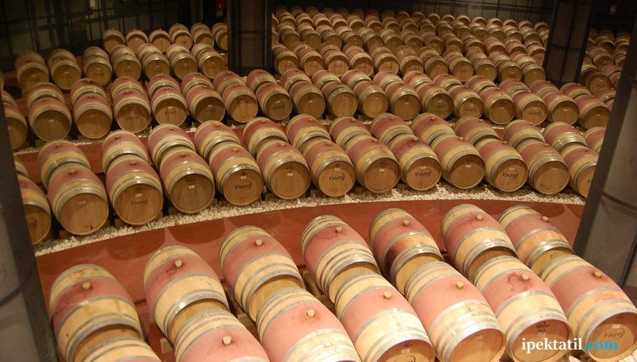 avşa şarap fabrikası