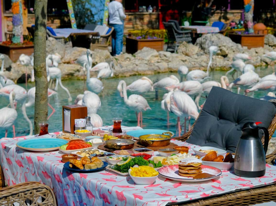 Filamingo Köy Ulaşım ve İletişim Bilgileri