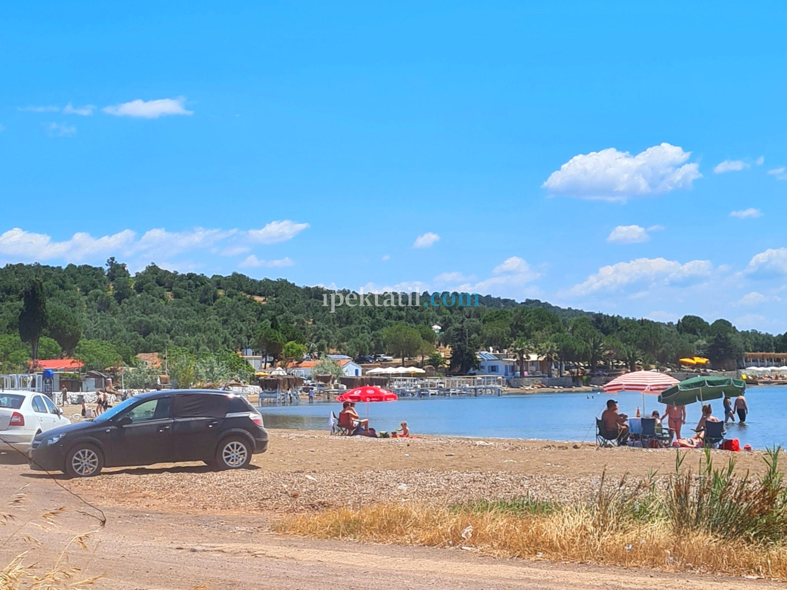 Pateriça Koyu