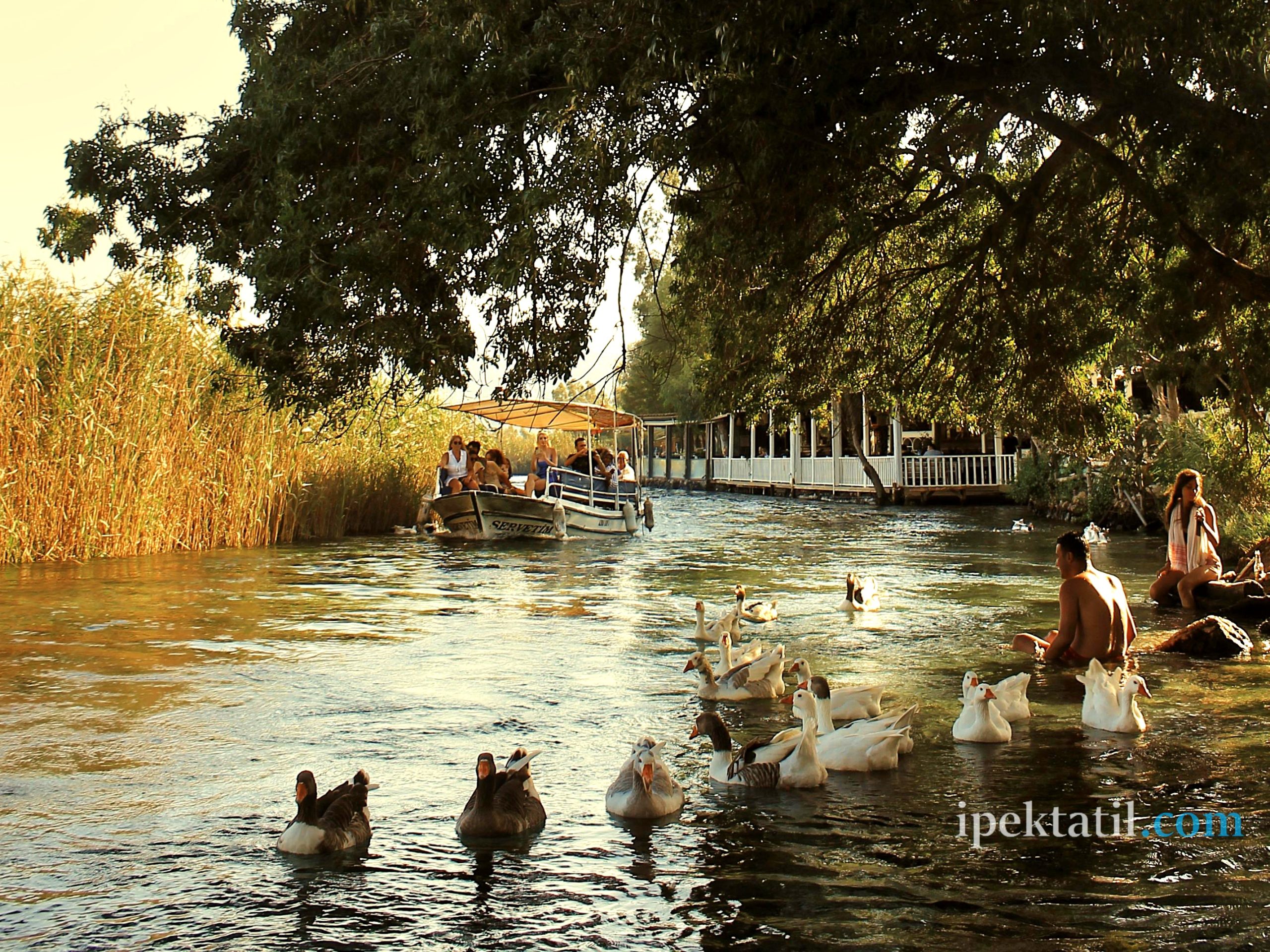 Azmak nehri