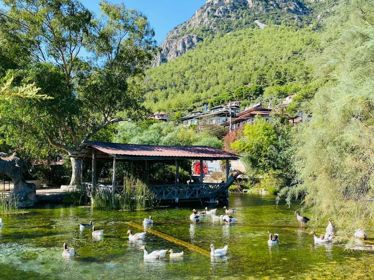 Akyaka Nerede, Nasıl Gidilir? Akyaka Gezilecek Yerler Nelerdir?