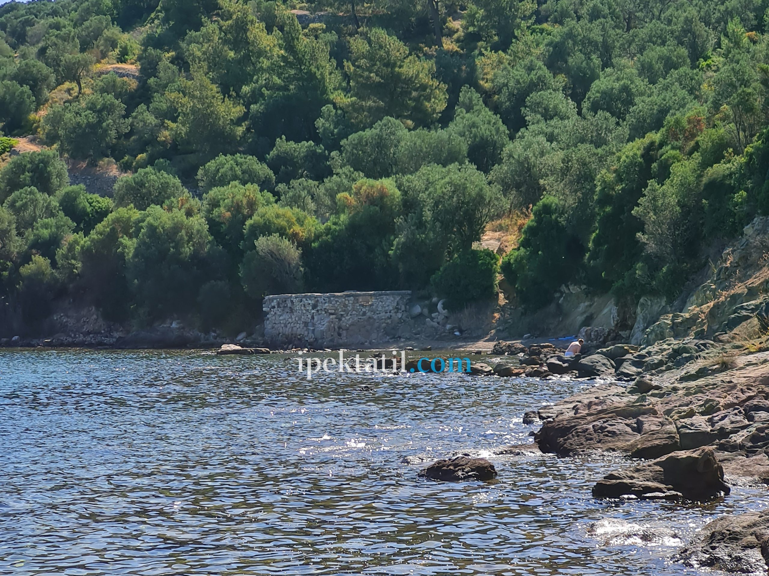 Bademli Deniz Ilıcası