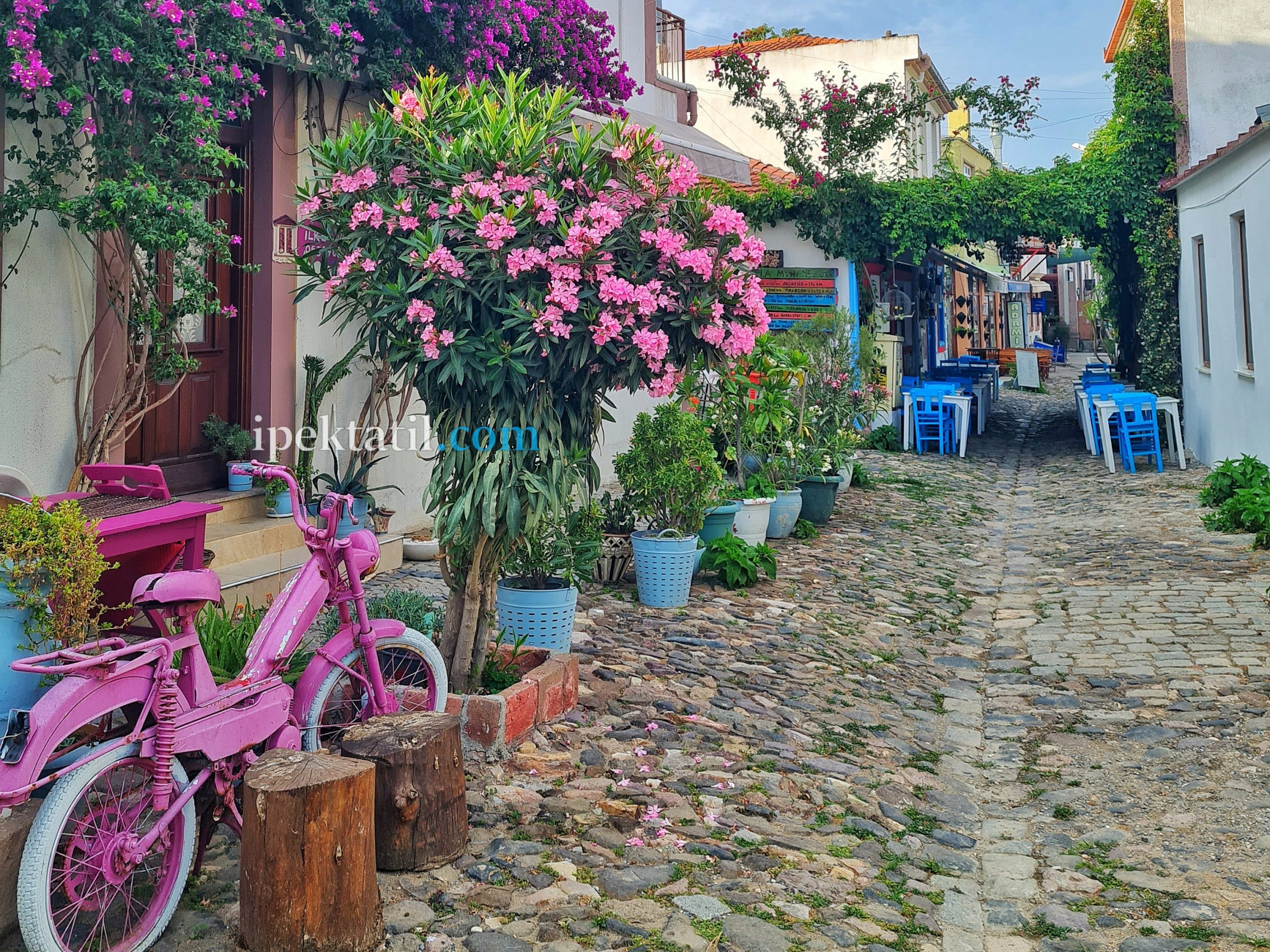 Cunda Sokakları