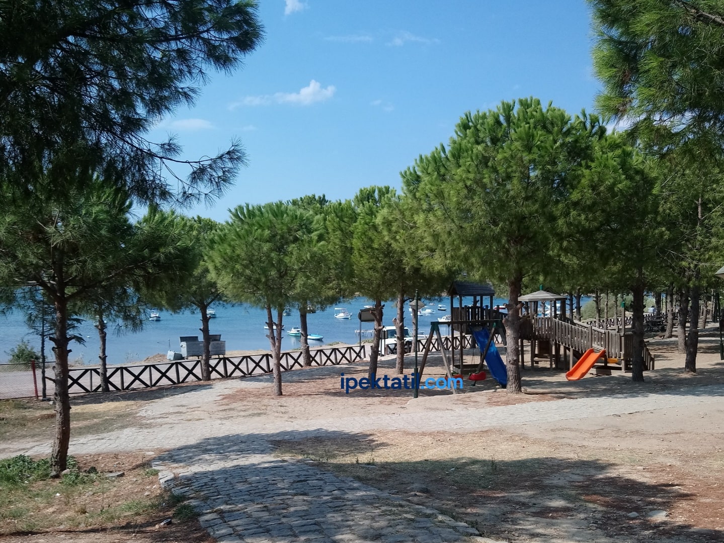 Ayvalık piknik alanı