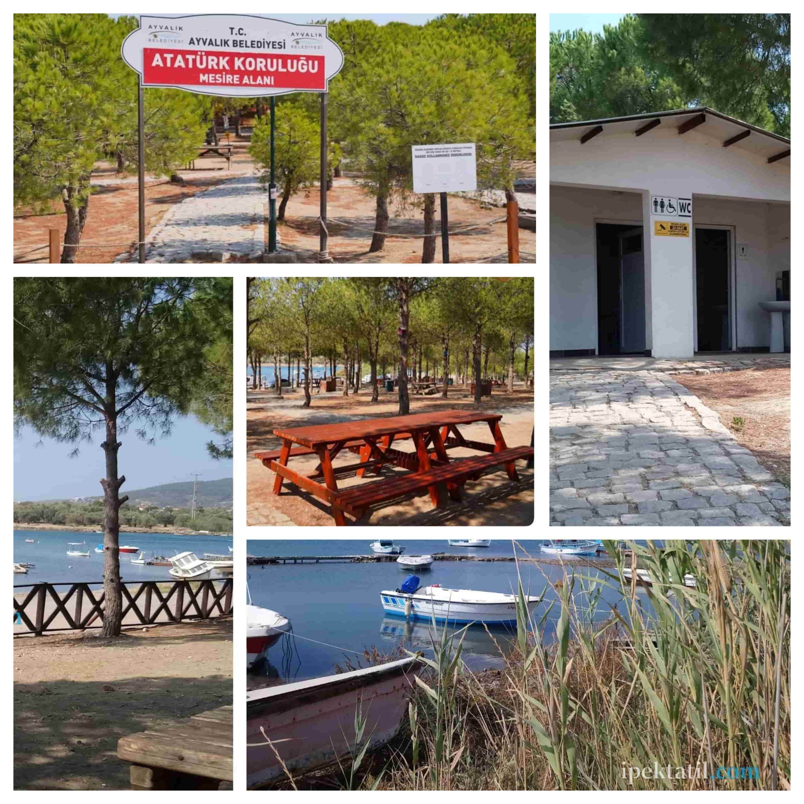 Ayvalık Atatürk Koruluğu Mesire Alanı 