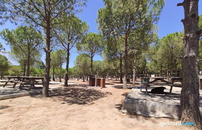 Ayvalık Piknik Alanı ve Mesire Yerleri