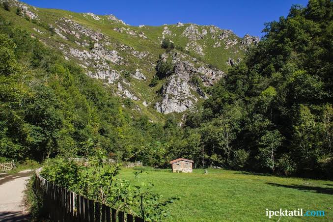 Edremit’in En Güzel Mahallesi