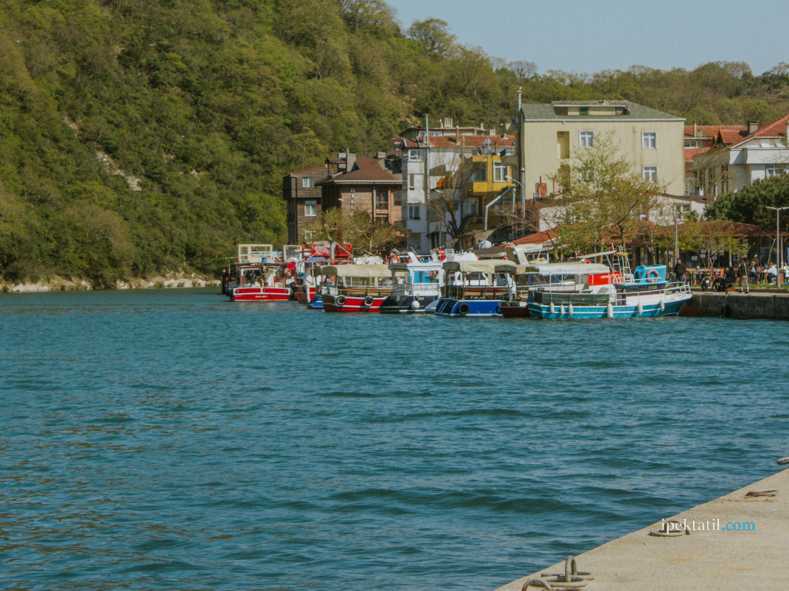 Ağva