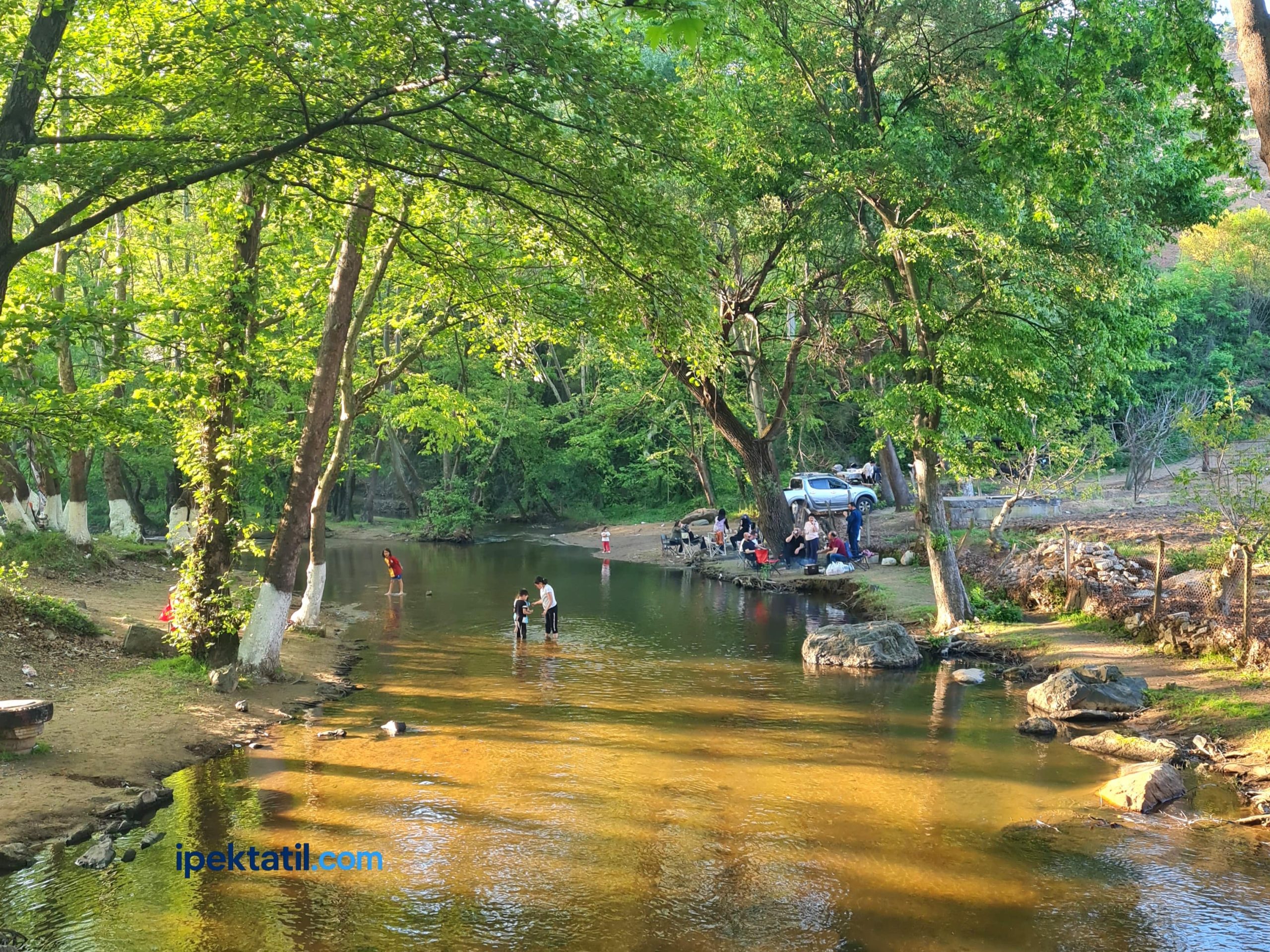 Susurluk Çaylak Mesire Alanı
