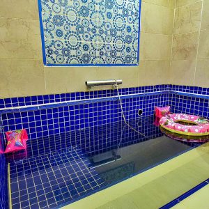 Arya Termal Otel5