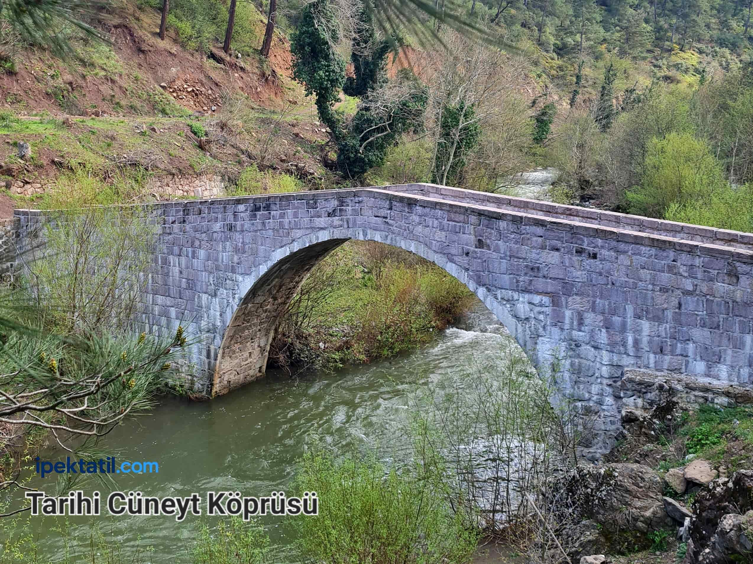 Sındırgı Tarihi Cüneyt Köprüsü