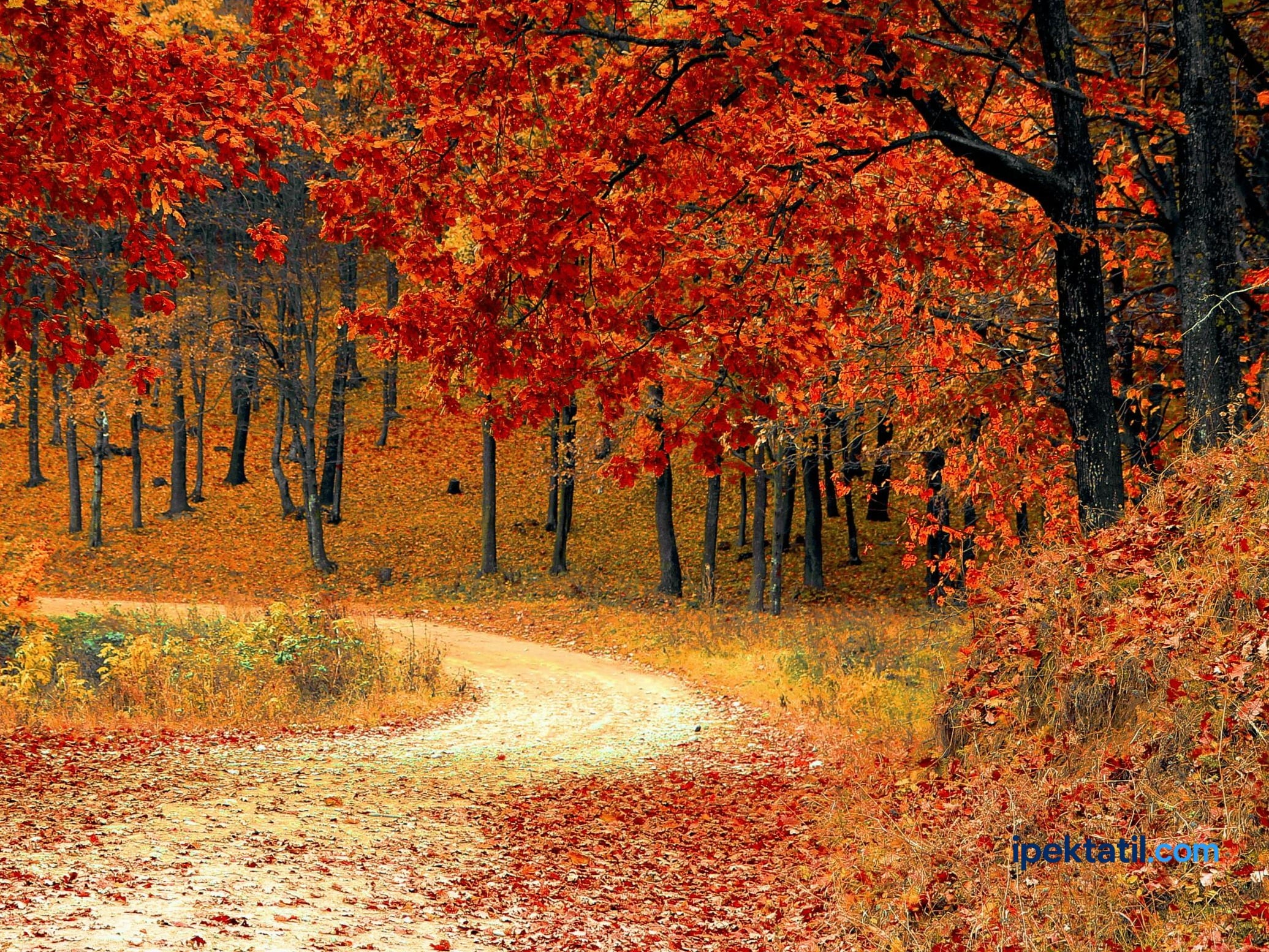 Sonbaharda Gidilecek Yerler: Kısa Tatil İçin 10 Muhteşem Rota