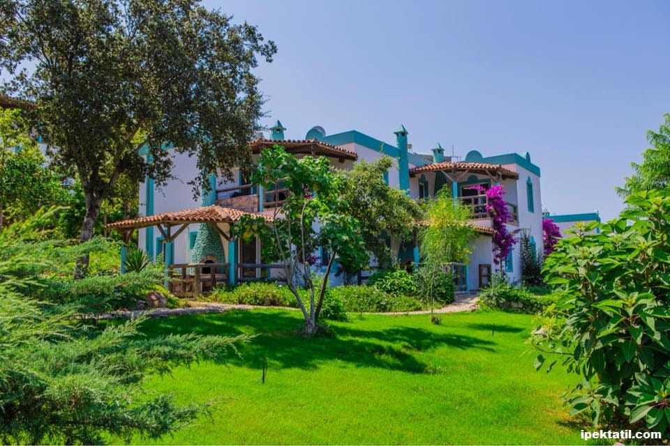 club armona bodrum evleri