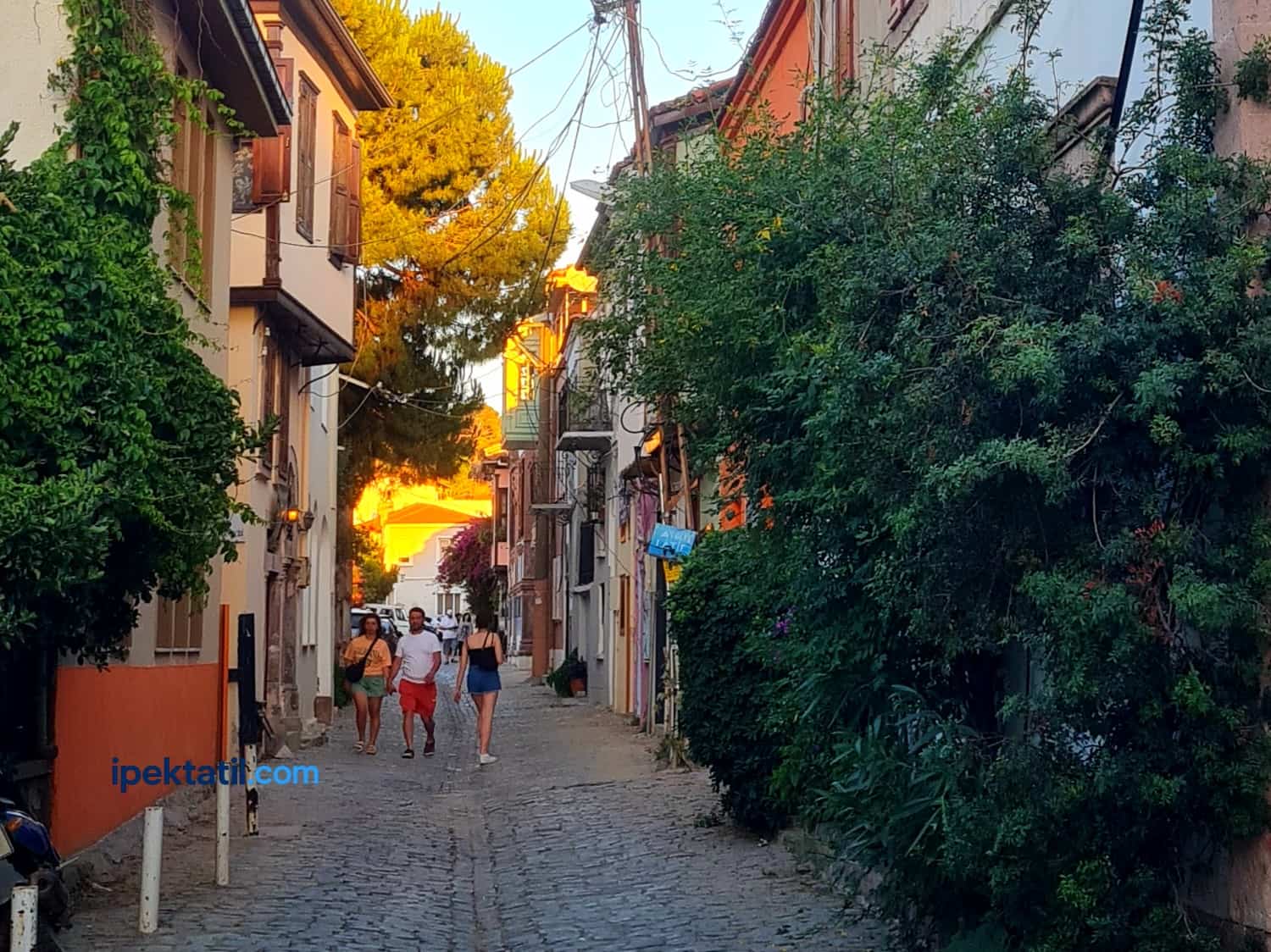 Macaron Mahallesi’ne Ne Zaman Gidilir?