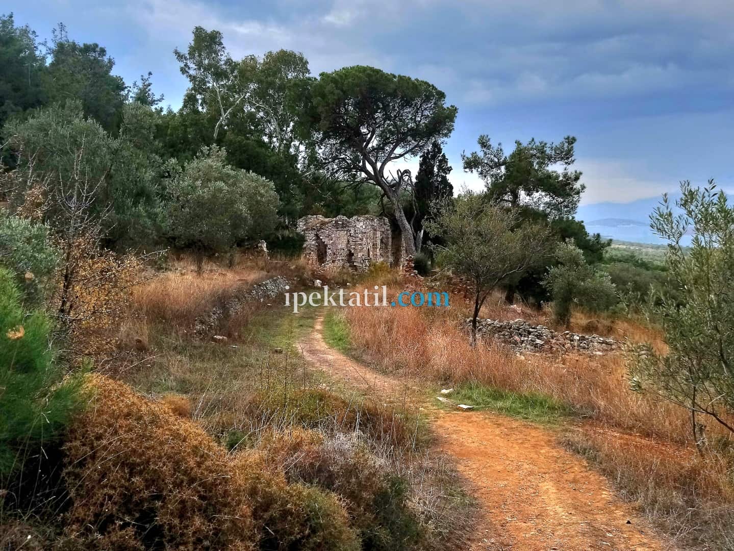 Çamlı Manastır Nerede?