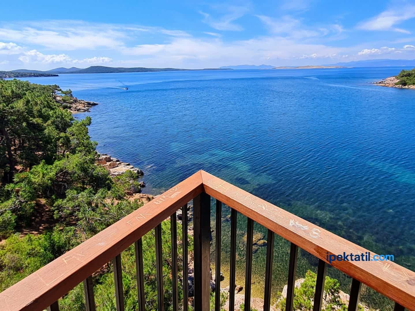 Ortunç Koyu Hakkında Sık Sorulan Sorular (SSS) 