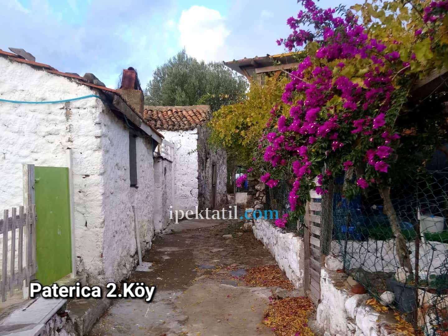 Paterica 2. Köy