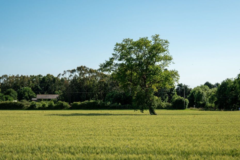Ardahan’ın En Güzel Köyleri