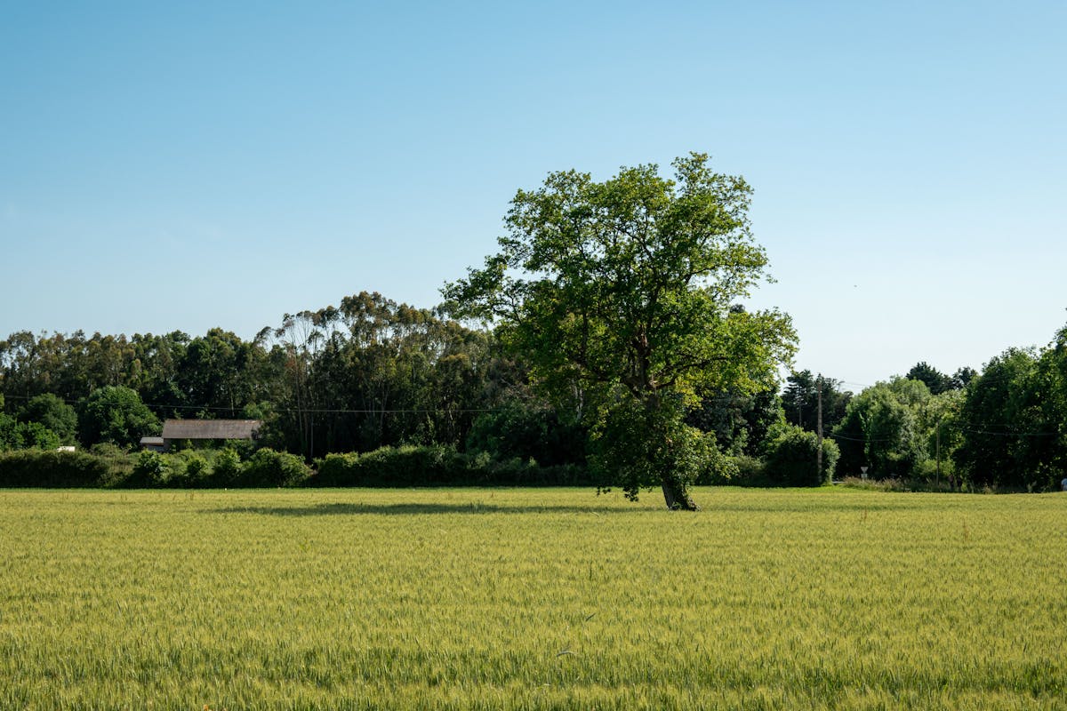 Ardahan’ın En Güzel Köyleri