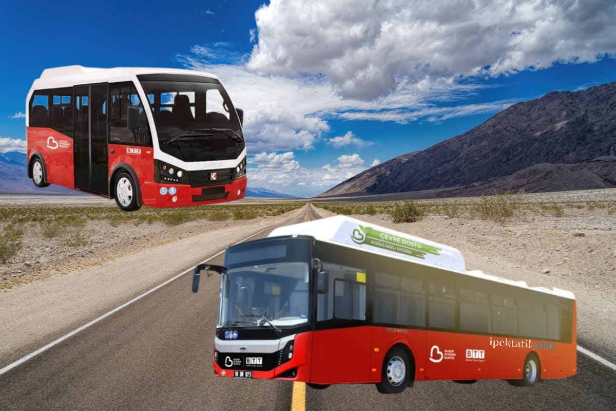 Ayvalık’ta ulaşım. Otobüs ve minibüsler