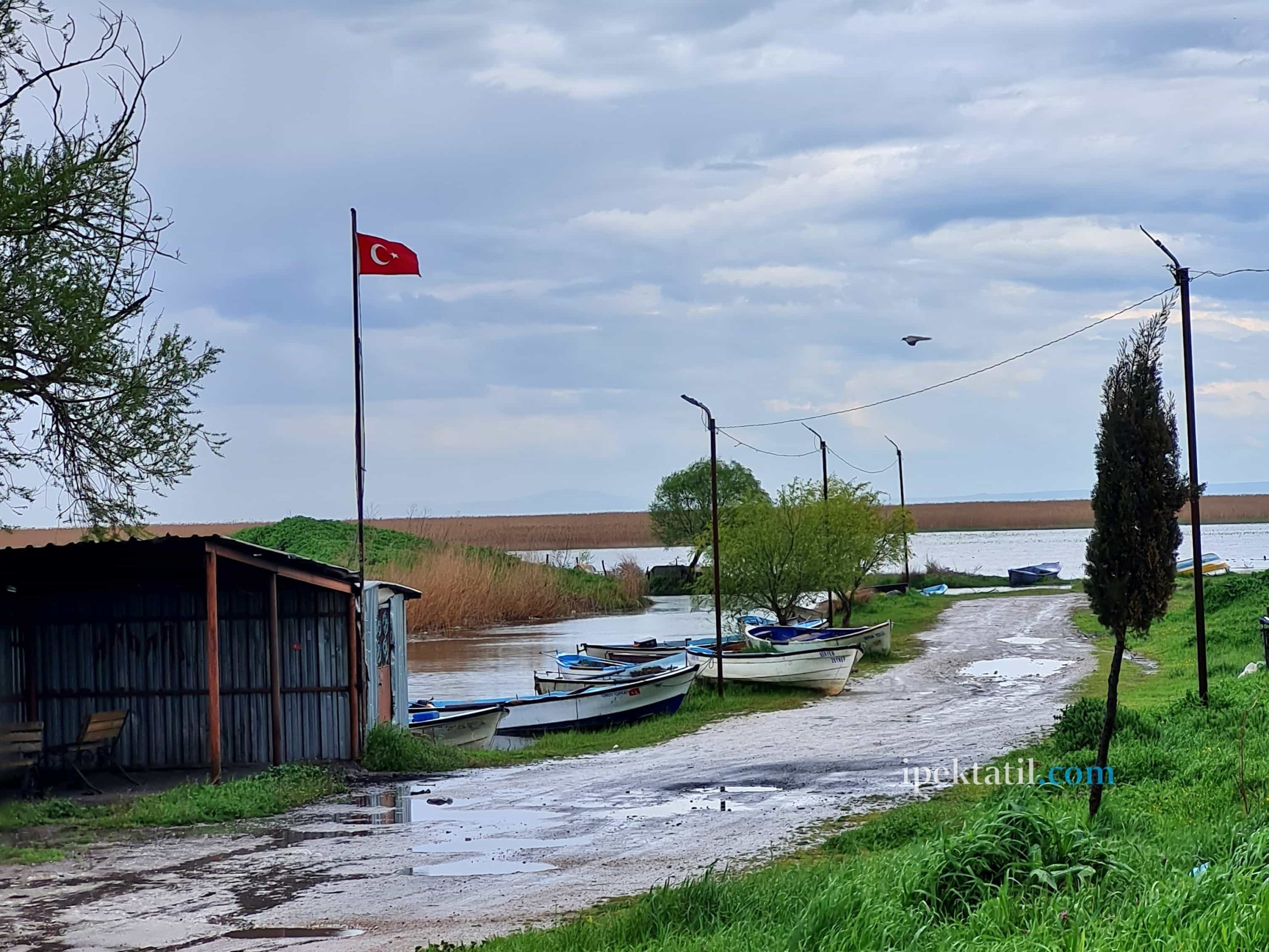 Bandırma Kocagöl Köyü