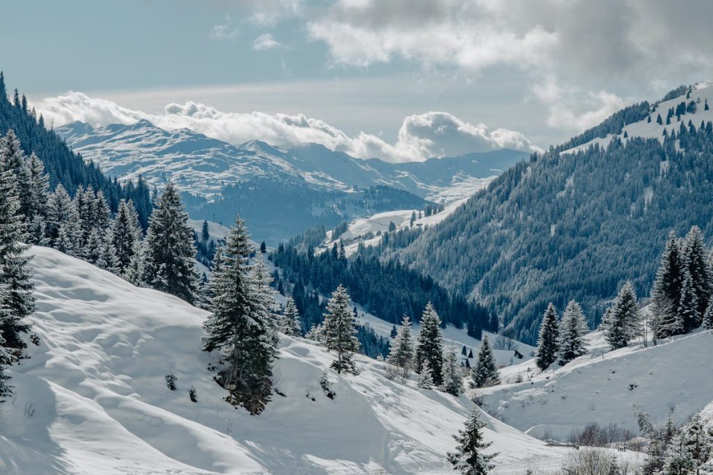 Bursa Uludağ Fotoğrafı