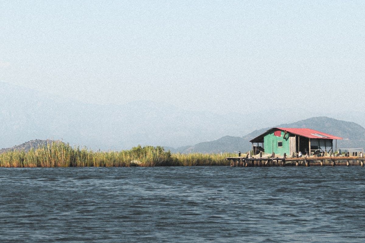 Balıkesir'in manyas ilçesisi kuş cenneti