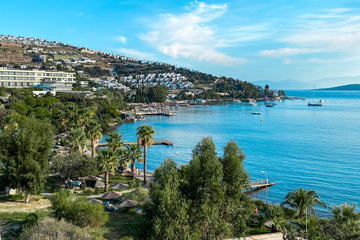 Mazı bodrum muğla