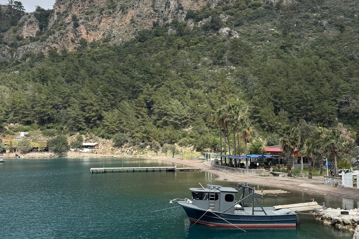 Söğüt köyü muğa